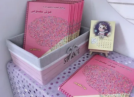 سبد ارگانایزر مدل WH3-STORAGE-L