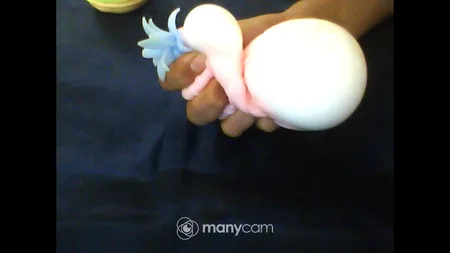 فیجت مدل همبرگر خامه ای کد sh-2021