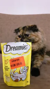 تجریه خرید غذای تشویقی گربه دریمیز مدل پنیری وزن 60 گرم