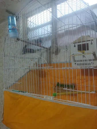 کاور قفس حیوانات کد 1030