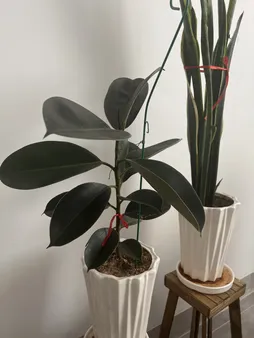 نگهدارنده گیاه مدل نیلوفری کد a-789 بسته چهار عددی