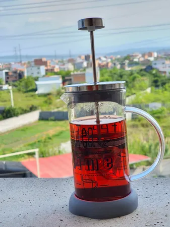 فرنچ پرس کد 810