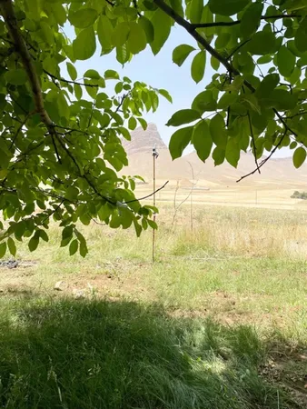 مودم LTE USB زد تی ای مدل MF79U