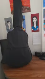 گیتار مدل C40