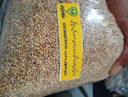 تخم ارزن ایرانیان مدل BIO وزن 950 گرم