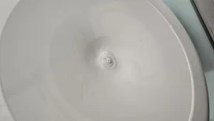 تجریه خرید پودر وی پروتئین با طعمم شکلاتی  فارماتک - 1818 گرم