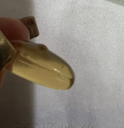 کپسول سی ال ای 1000 یوروویتال بسته 2 عددی