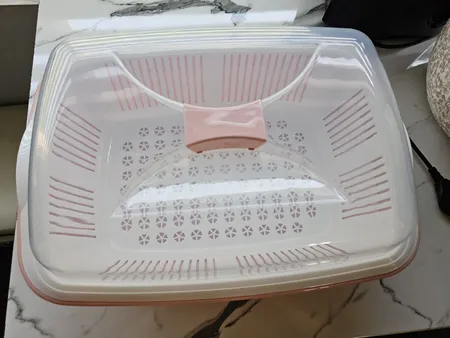 جا نانی لیمون کد dlm04