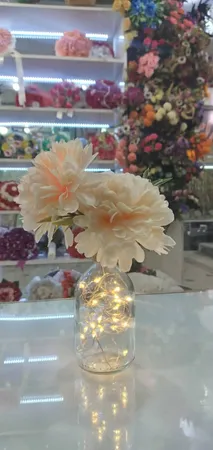 ریسه ال ای دی مدل درب بطری طول 2 متر