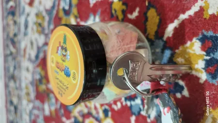 بستنی خشک پفکی فریزفروت - 40 گرم