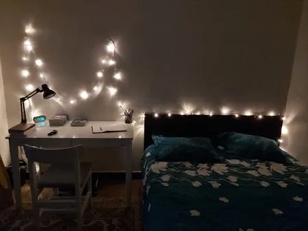 ریسه ال ای دی کد 100-LED طول 10 متر