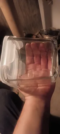 ظرف نگهدارنده لیمون کد 1984