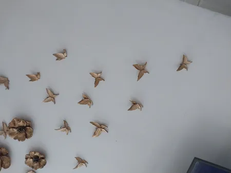 دیوارکوب طرح پروانه کد P01 مجموعه ۷ عددی