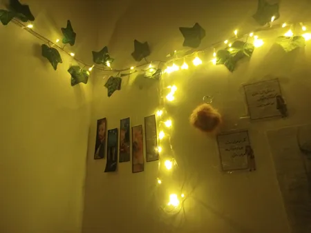 ریسه ال ای دی مدل Multi Function طول 10 متر