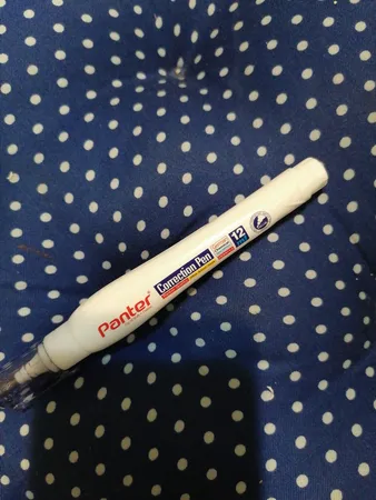 غلط گیر قلمی پنتر مدل CP102