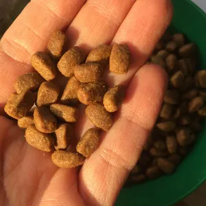 تجریه خرید غذای خشک گربه رفلکس پلاس مدل lamb&rice وزن 1.5 کیلوگرم