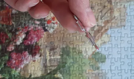 پازل 1000 تکه فاکس مدل دختر گل فروش کد 62332