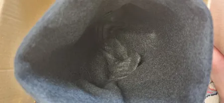 سطل زباله ماشین این چنتا مدل Earth