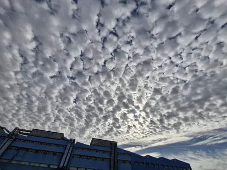 گوشی موبایل سامسونگ مدل Galaxy S23 FE دو سیم کارت ظرفیت 256 گیگابایت و رم 8 گیگابایت - ویتنام