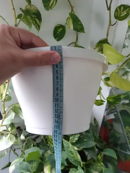 گلدان دیواری شهرآذین مدل 9025