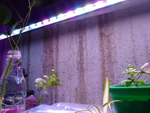 تجریه خرید وال واشر ال ای دی رشد گیاه 24 وات مدل BS-24