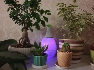 تجریه خرید دستگاه بخور سرد مدل Ultrasonic