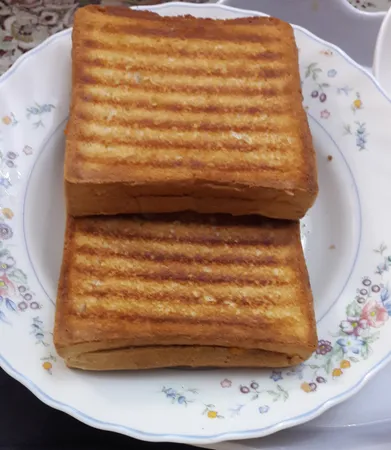 ساندویچ ساز پارس خزر مدل SM-850P