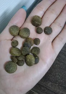 تجریه خرید غذای خشک سگ نوتری پت مدل Adult 21Percent Probiotic وزن 2 کیلوگرم