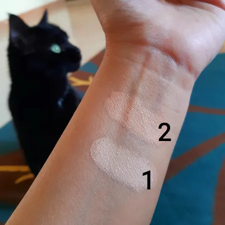 کانسیلر گلدن رز شماره 02