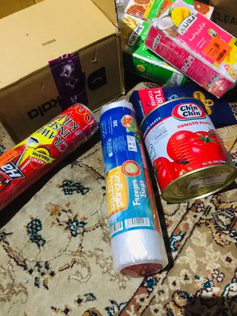 کیسه فریزر پلانگتون مدل B22 وزن 300 گرم