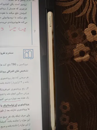 قلم لمسی اپل مدل Pencil Pro