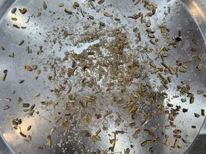 تجریه خرید مغز تخمه آفتابگردان خام ممتاز سرمد - 450 گرم بسته 2 عددی