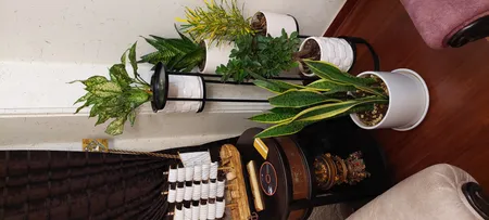 استند گلدان مدل پیچک