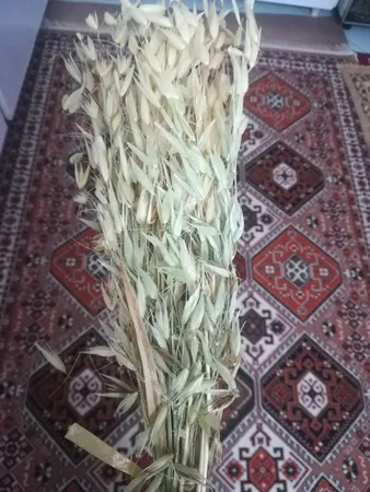 گل خشک مدل یولاف