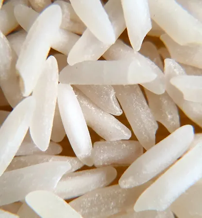 ذره بین مدل MG6B-1B