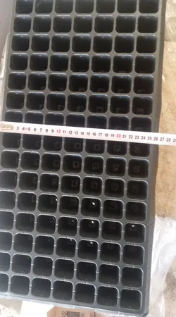 سینی نشا مدل 105 حفره کد HQ105 بسته 10 عددی