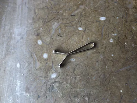 گیره روسری کد 7 بسته 3 عددی