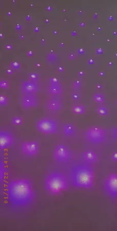 ریسه ال ای دی مفتولی کد 100LED طول 10 متر