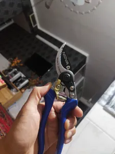 تجریه خرید قیچی باغبانی نووا مدل NTS 2311