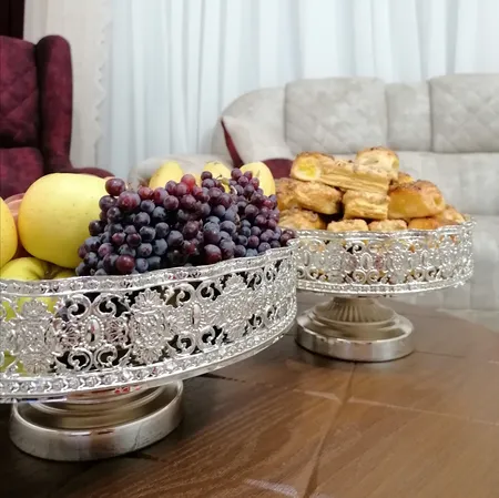 میوه خوری مدل NGL475