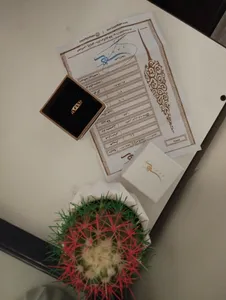 تجریه خرید انگشتر طلا 18 عیار زنانه سهی مدل DR35-8.5