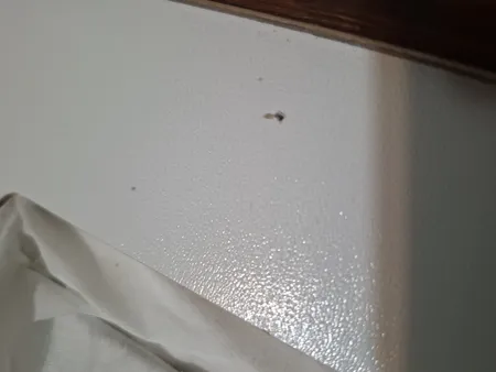 جادستمال کاغذی رایکا مدل HM1374