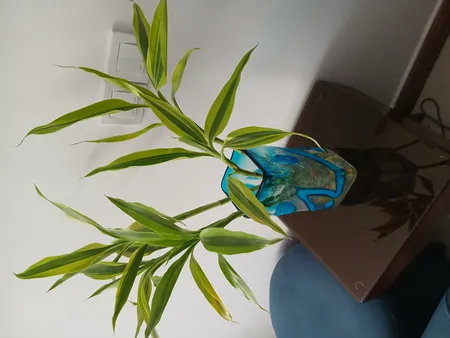 گیاه طبیعی بامبو مدل رومیزی ابلغ کد 70