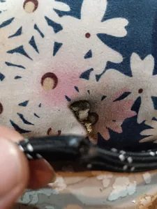 تجریه خرید اتو بخار تولیپس مدل SI-A 370 C