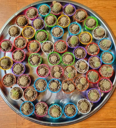 گلدان کلاسیک مدل G3004 مجموعه 50 عددی