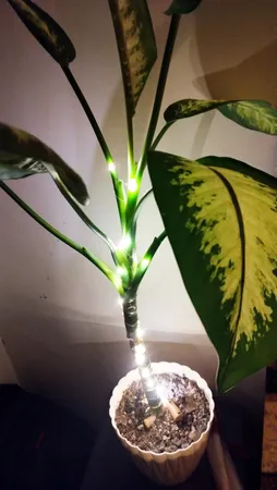 ریسه ال ای دی مدل درب بطری طول 2 متر