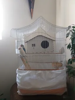 لانه پرنده مدل Vnm 889