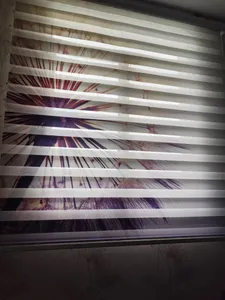 تجریه خرید پرده زبرا مدل DZ-2 سایز 150*150سانتی‌ متر