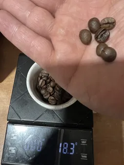 دانه قهوه بلک اند وایت قهوه ست - 250 گرم