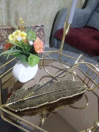 جاعودی طرح پر مدل G2